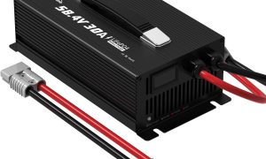 Photo by amazon.co.uk - LiFePO4 Cold Weather Charging: How to Prevent Lithium Plating